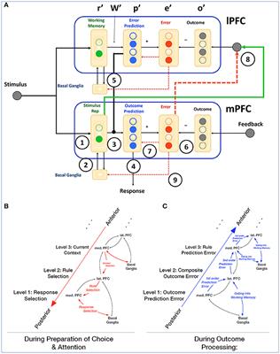 Interactions of Medial and Lateral Prefrontal Cortex in Hierarchical Predictive Coding